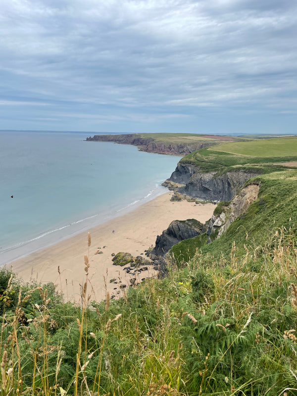 Pembrokeshire and Skomer Island