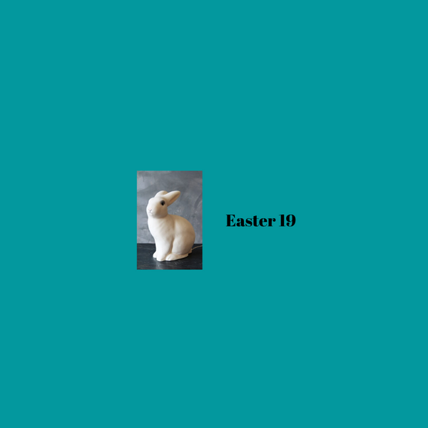 Did the Bunny Come?