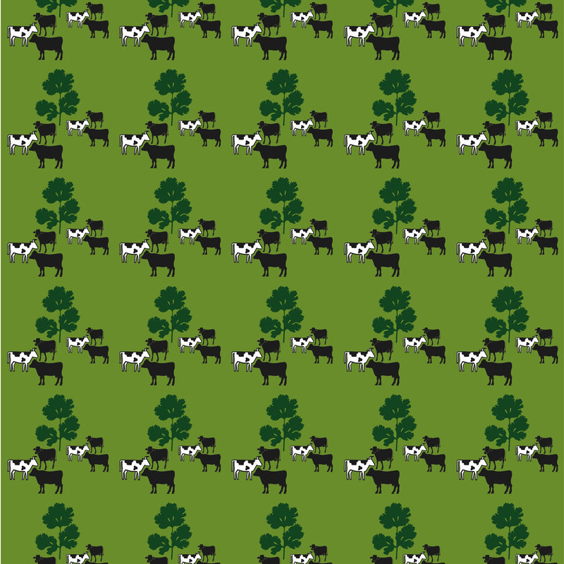 Cow Parsley Wallpaper