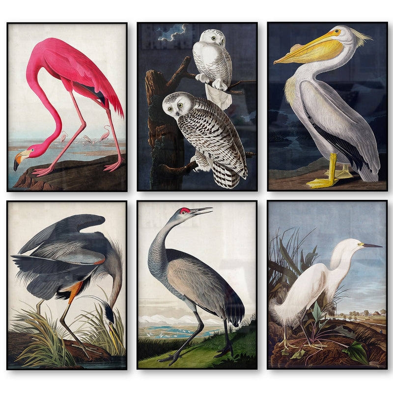 Vintage Bird Canvas