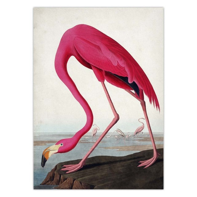 Vintage pink flamingo poster 