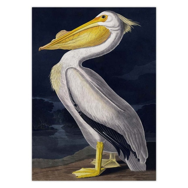 Vintage pelican poster