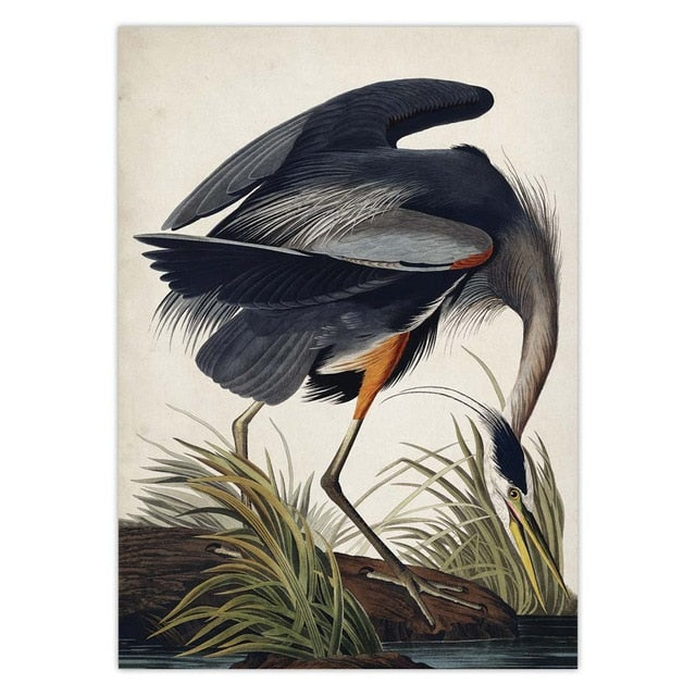 Vintage blue heron poster