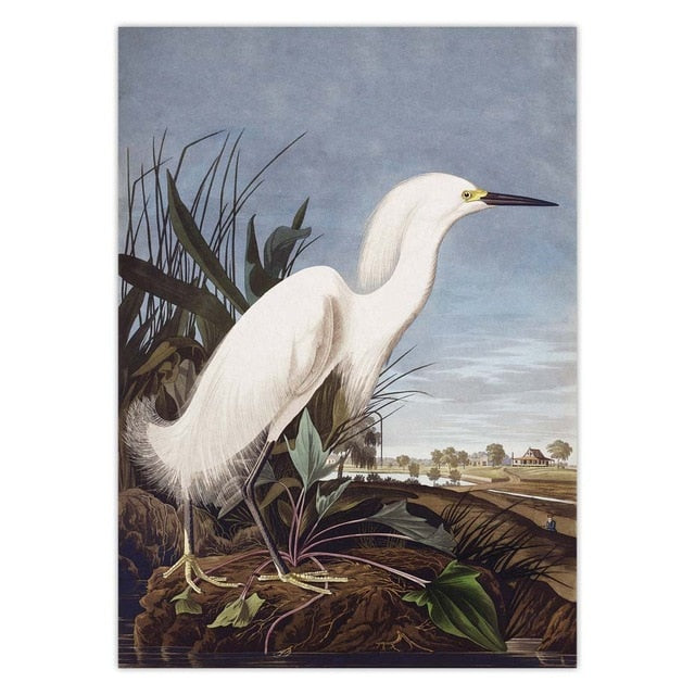 vintage White egret poster
