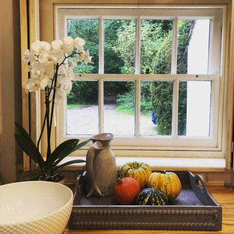 The Sussex cottage view from kitchen into the woods Fleur ward