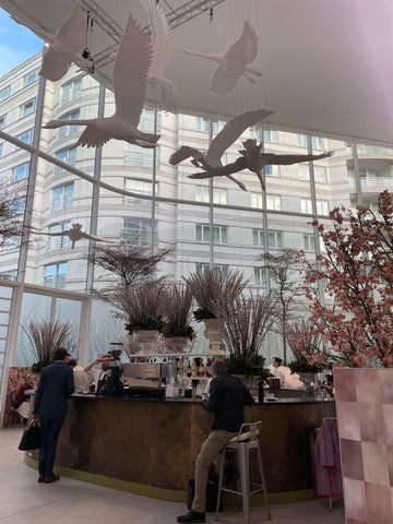 Cafe at Chelsea harbour with hanging swans