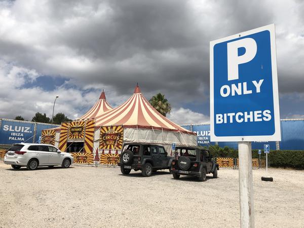 sluiz ibiza fleur ward