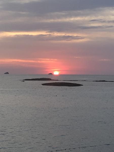 silla des bosc fleur ward