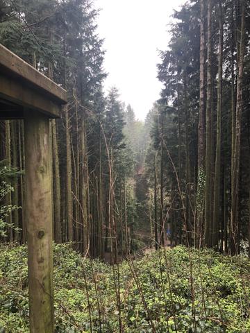 ravine zip wire bluestone national park wales