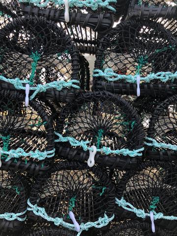 fising nets at tenby